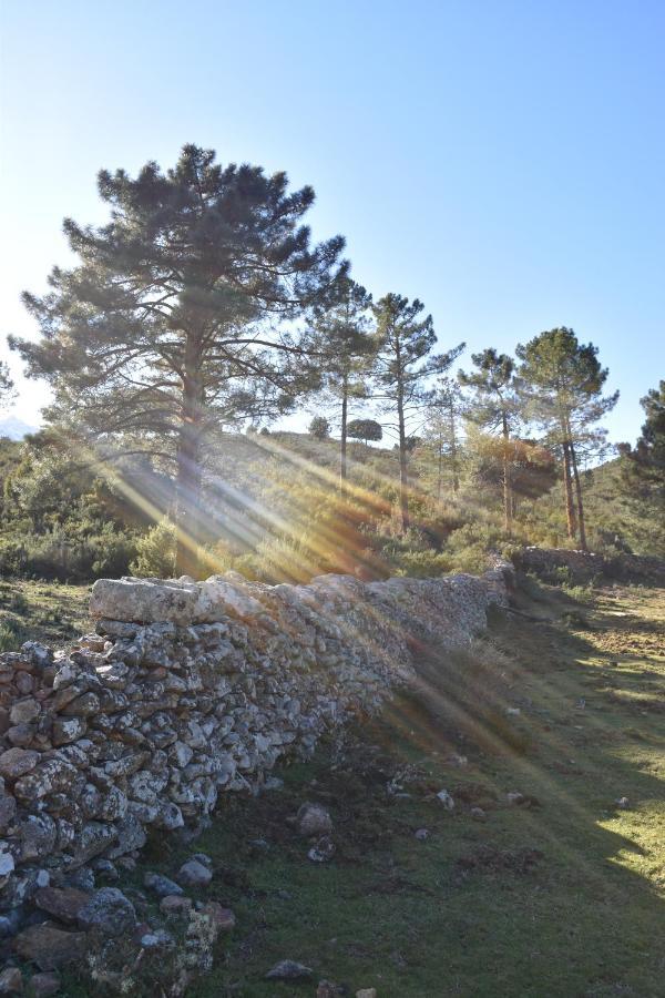 Domaine U Filanciu - Casa Chiara - Centru Di Corsica Βίλα Moltifao Εξωτερικό φωτογραφία