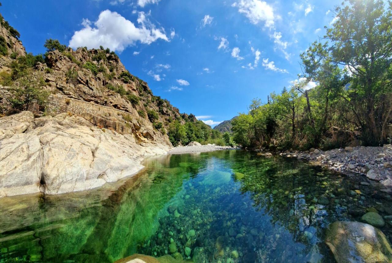 Domaine U Filanciu - Casa Chiara - Centru Di Corsica Βίλα Moltifao Εξωτερικό φωτογραφία